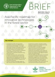 Icon image Asia Pacific roadmap for innovative technologies in the forest sector