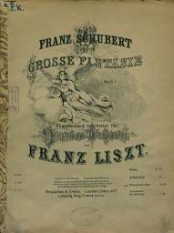 Icon image Grosse Fantasie, op. 15, fur Piano und Orchester v. F. Liszt simphonisch bearb. Pianostimme allein