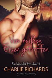 Icon image Vom heißen Eisen getroffen