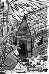 Icon image NANO Fiction Volume 6 Number 2