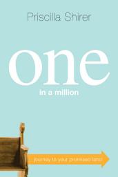 Icon image One in a Million: Journey to Your Promised Land