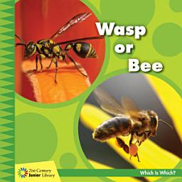 Icon image Wasp or Bee