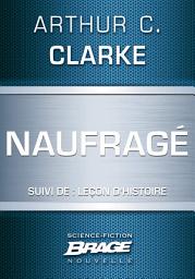 Icon image Naufragé (suivi de) Leçon d'Histoire