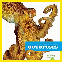 Icon image Octopuses