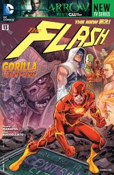 Icon image Flash (2011)