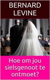 Icon image Hoe om jou sielsgenoot te ontmoet?