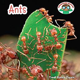 Icon image Ants