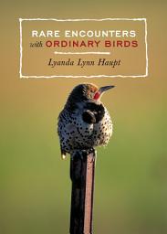 Icon image Rare Encounters with Ordinary Birds: A Bird Book for Adults