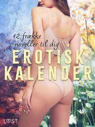 Icon image Erotisk kalender – 12 frække noveller til dig