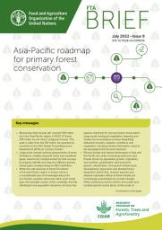 Icon image Asia-Pacific roadmap for primary forest conservation