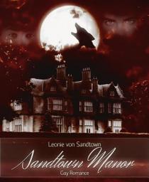 Icon image Sandtown Manor: Gay Fantasy Romance