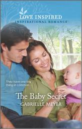 Icon image The Baby Secret