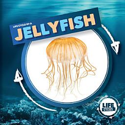Icon image Life Cycle of a Jellyfish