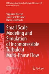Icon image Small Scale Modeling and Simulation of Incompressible Turbulent Multi-Phase Flow