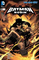 Icon image Batman and Robin (2011)