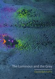 Icon image The Luminous and the Grey