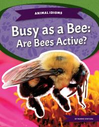 Icon image Busy as a Bee: Are Bees Active?: Are Bees Active?