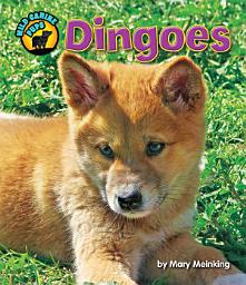 Icon image Dingoes
