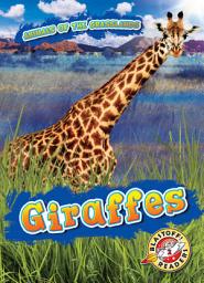 Icon image Giraffes