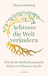 Icon image Achtsam die Welt verändern: Wie deine Meditationspraxis Krisen zu Chancen macht