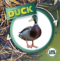 Icon image Life Cycle of a Duck