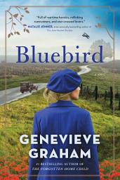 Icon image Bluebird: A Novel