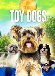 Icon image Toy Dogs