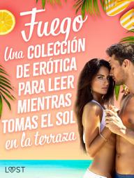 Icon image Fuego: Una colección de erótica para leer mientras tomas el sol en la terraza