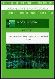 Icon image Program in VBA (Visual Basic for Applications)