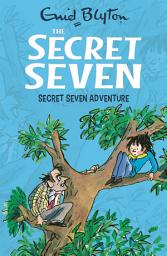 Icon image Secret Seven Adventure: Book 2