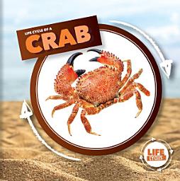 Icon image Life Cycle of a Crab