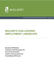 Icon image Malawi's challenging employment landscape