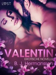 Icon image Valentin: Erotische Novelle