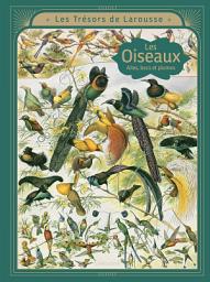 Icon image LES OISEAUX - Ailes, becs et plumes: Les trésors Larousse