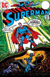 Icon image Superman (1939-) #257