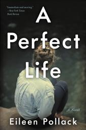 Icon image A Perfect Life: A Novel