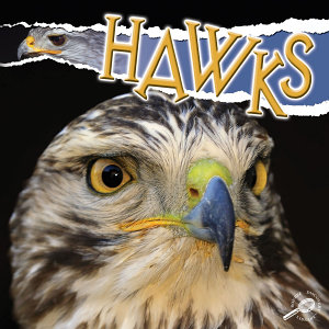 Icon image