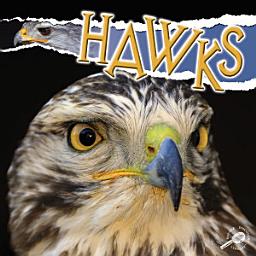 Icon image Hawks