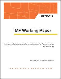 Icon image Mitigation Policies for the Paris Agreement: An Assessment for G20 Countries