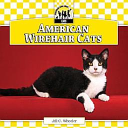 Icon image American Wirehair Cats