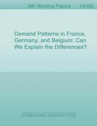 Icon image Demand Patterns in France, Germany, and Belgium: Can We Explain the Differences?