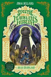 Icon image The Spectre From the Magician's Museum - The House With a Clock in Its Walls 7