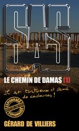 Icon image SAS 193 Le chemin de Damas T1: Il est tortueux et semé de cadavres !, Volume 1