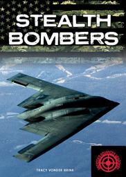 Icon image Stealth Bombers