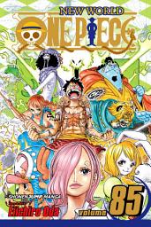 Icon image One Piece: One Piece, Vol. 85