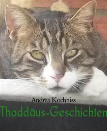 Icon image Thaddäus-Geschichten