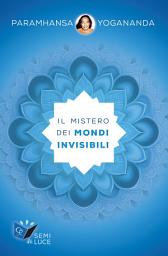 Icon image Il mistero dei mondi invisibili