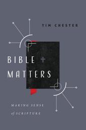 Icon image Bible Matters: Making Sense of Scripture