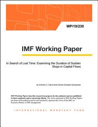Icon image In Search of Lost Time: Examining the Duration of Sudden Stops in Capital Flows