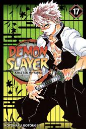 Icon image Demon Slayer: Kimetsu no Yaiba, Vol. 17